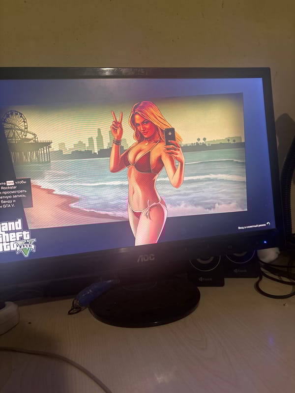 Yerevan resident takes selfie while gaming computer loads GTA V