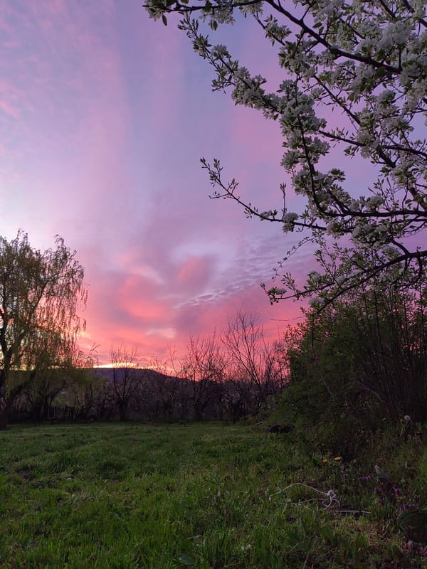 Countryside scene photographed at dusk in Dragijevo, Bulgaria
