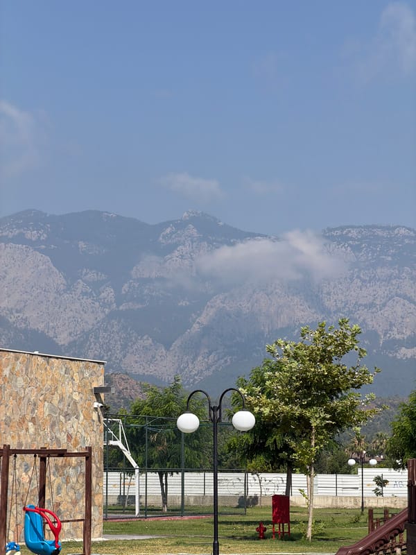 Resort cat and beachside scenes from a Kemer morning