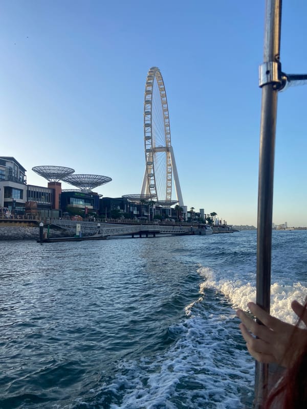 Boat excursion with passengers and dog tours Dubai Marina