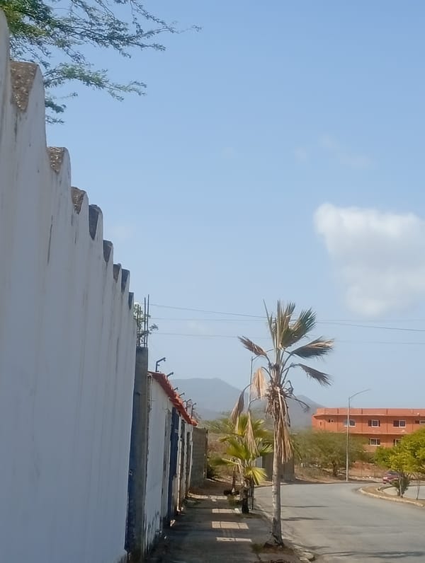 Young man documents sunny afternoon journey through Venezuelan towns