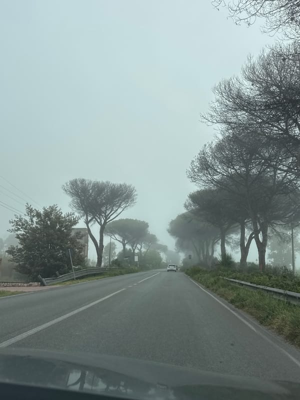 Dense fog blankets Aprilia road, reduces visibility