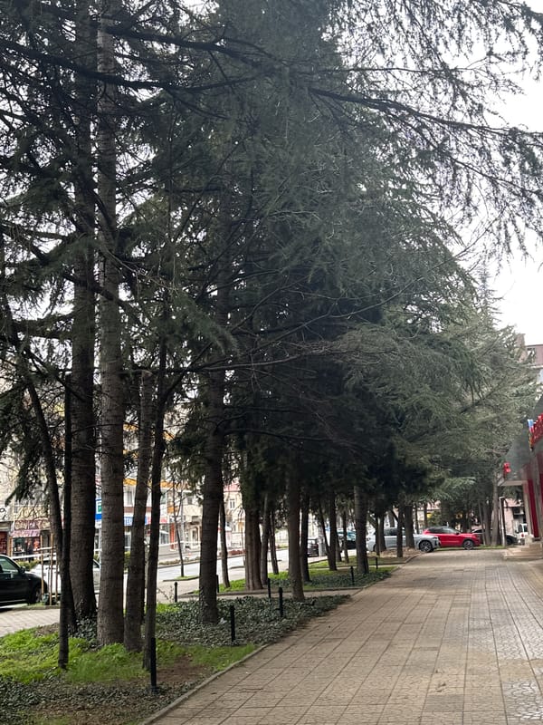 Street scenes documented in Stara Zagora, Bulgaria