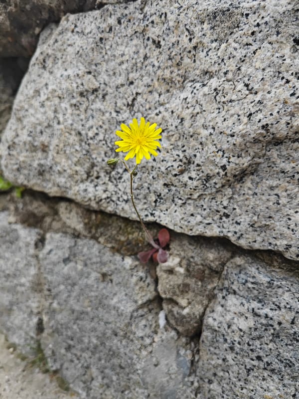 Urban photographer captures street scenes in Plovdiv, Bulgaria