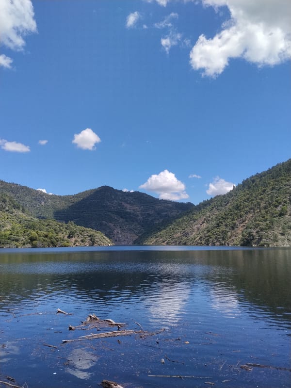Spring scenes documented in Alijó: lake debris, mountain views