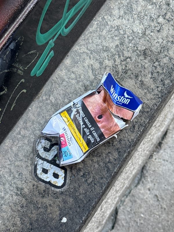 Milan street art and urban wildlife documented during morning walk