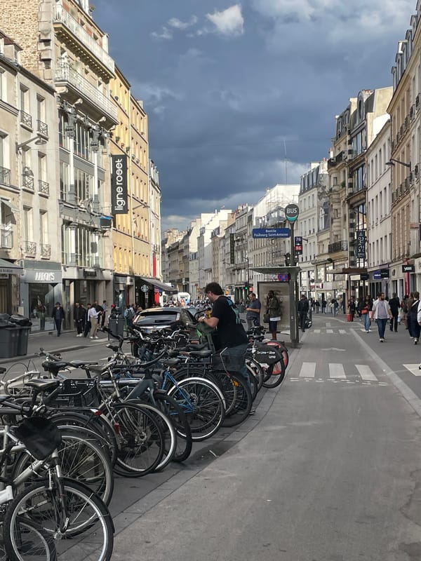 Parisian street scene captured under overcast afternoon skies
