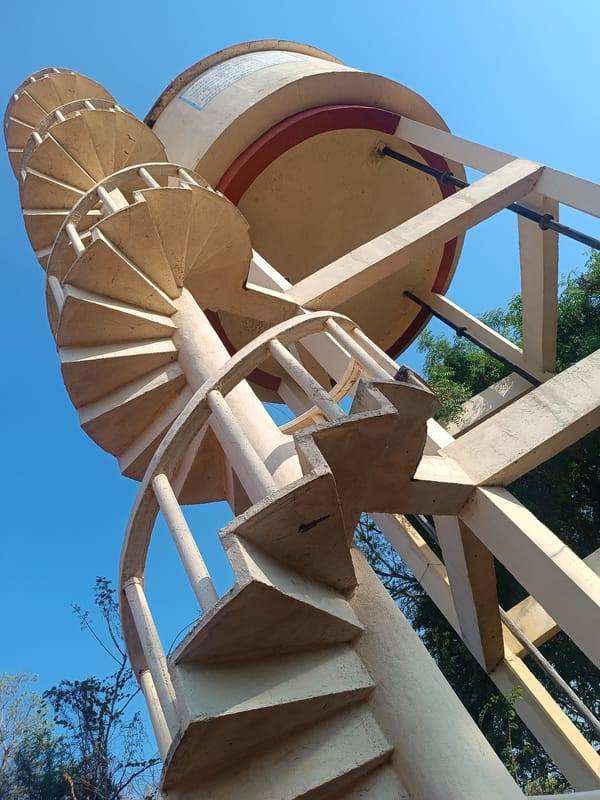 Rural animals documented in Kammavaripalli village setting