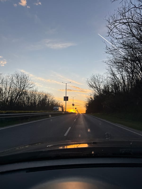Tree-lined road captured from vehicle in Ledenik, Bulgaria
