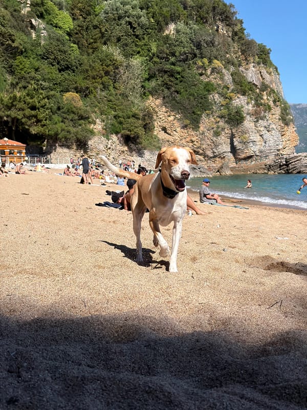 Sunny afternoon beach life captured in Budva, Montenegro