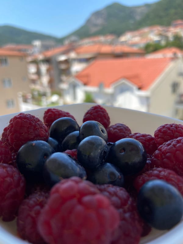 Fresh berries and a sleeping cat in Budva