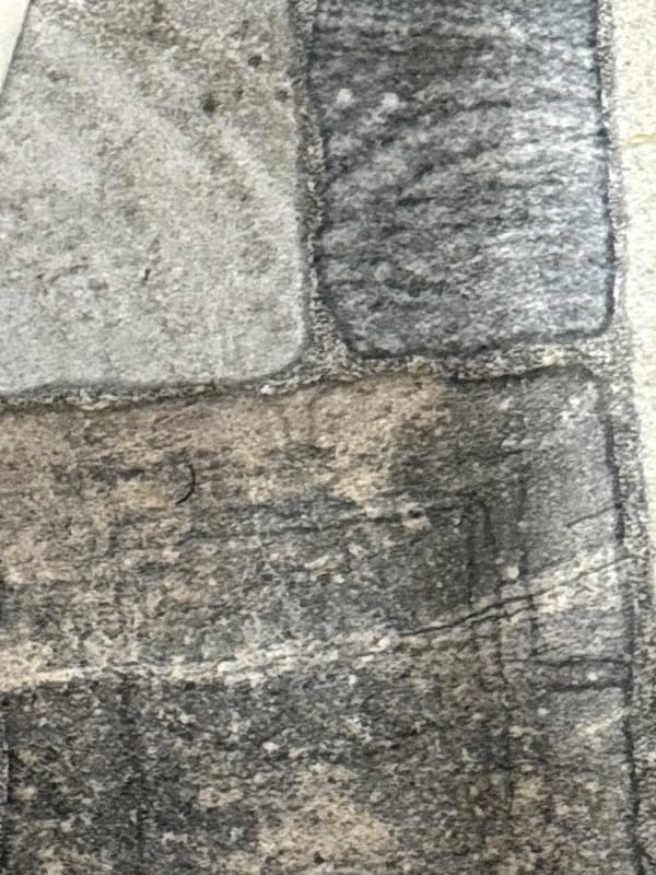 Close-up texture survey of surfaces and materials in Mahilyow