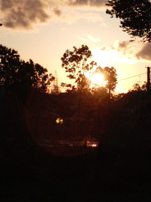 Sunset observed over residential Artyom, Russia with silhouetted trees