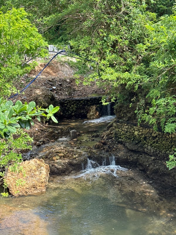 Morning tourism scenes documented across Kuta Selatan, Bali