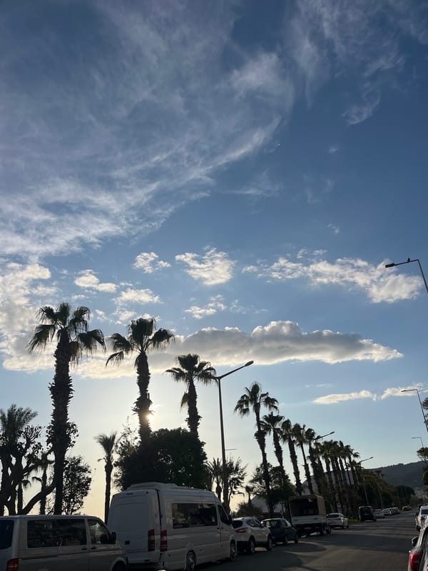 Spring afternoon scenes captured along Alanya's palm-lined streets