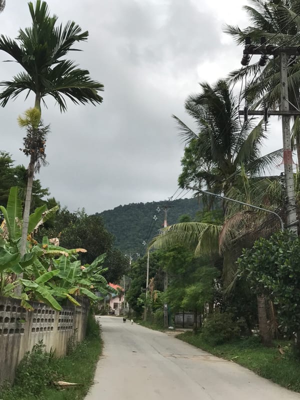 Tropical flora and architecture documented in Thai village