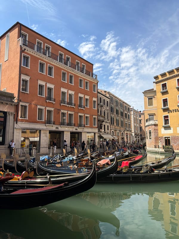 Venice tourism scenes captured including gondolas, luxury shops, masked visitor