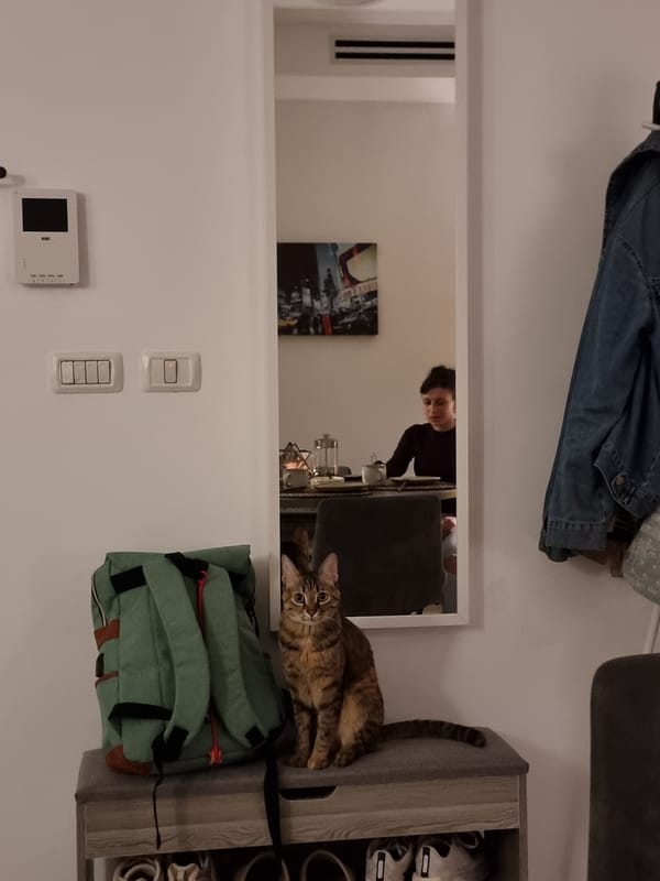 Quiet domestic moments documented across Ramat Gan apartment