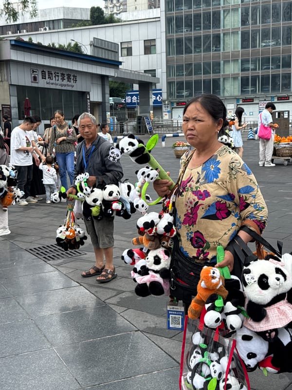 Street vendor sells fruit, carries panda toys in Jiulongpo District