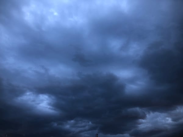 Stormy skies, a sunset, and a cat's direct gaze