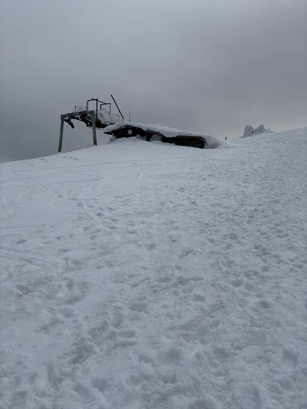 Skiers spotted on snowy slopes in Bistritsa, Bulgaria