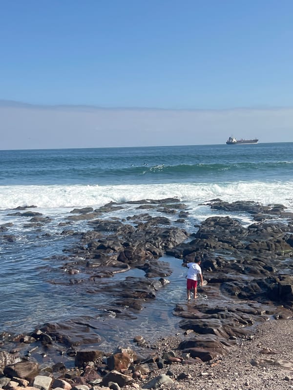 Rocky coastline documented in Arica, Chile during evening hours