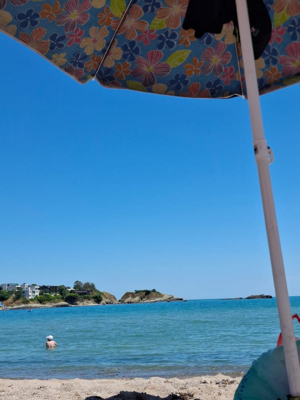 Beach day with swimming and umbrellas under clear skies