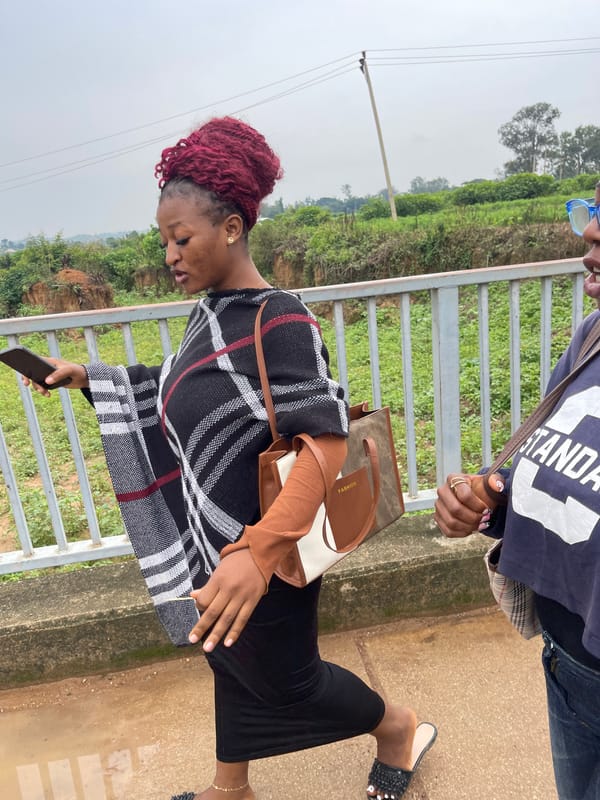 Flooded river draws a crowd to Rafin Par bridge