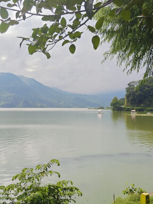Lazy morning along Phewa Lake, Pokhara