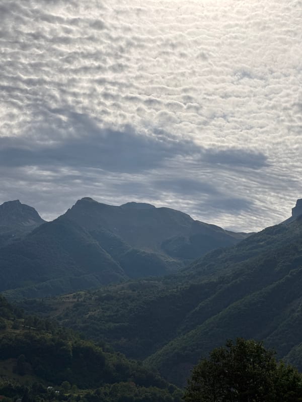 Mountain road through forested hills in rural Montenegro