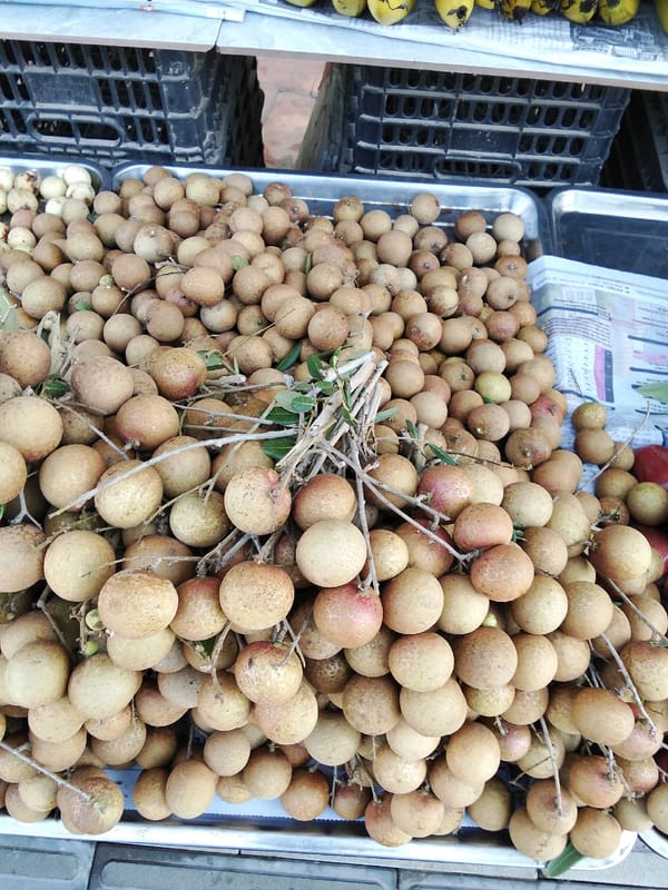 Tropical fruit market in full swing, Phu Thuy Ward