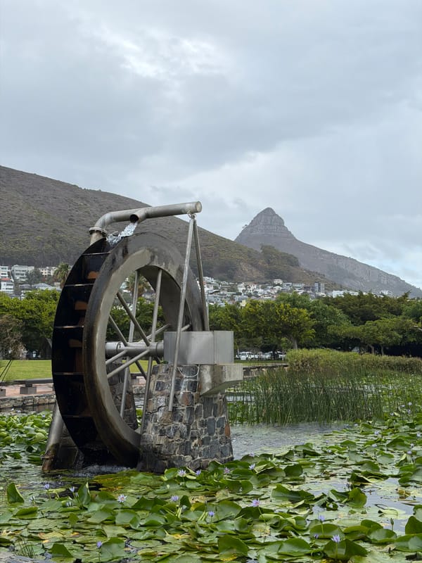 Visitor documents Cape Town park featuring water wheel, pond, wildlife