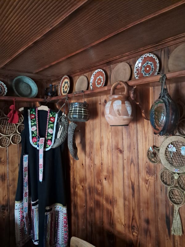 Spring day documented in Bulgarian village of Seykovtsi