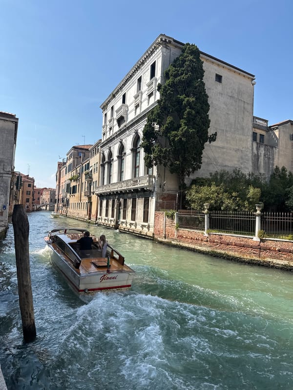 Venice canal boats and courtyard sculptures documented by witnesses