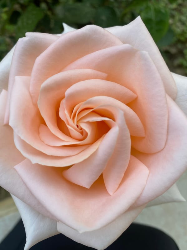 Afternoon stroll documented through Alanya Turkey's coastal tourist district