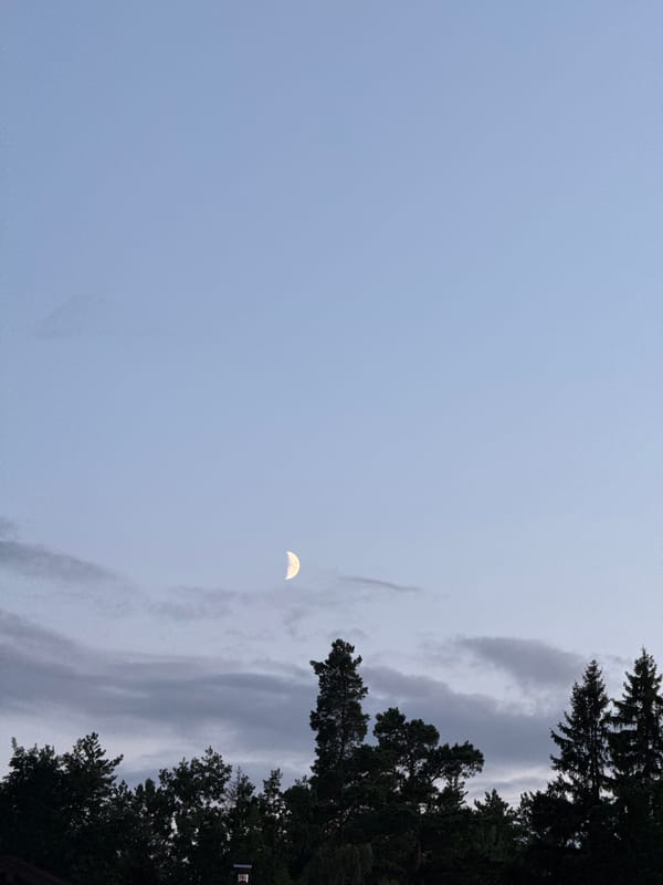 Crescent moon rises over a forested treeline in rural Belarus