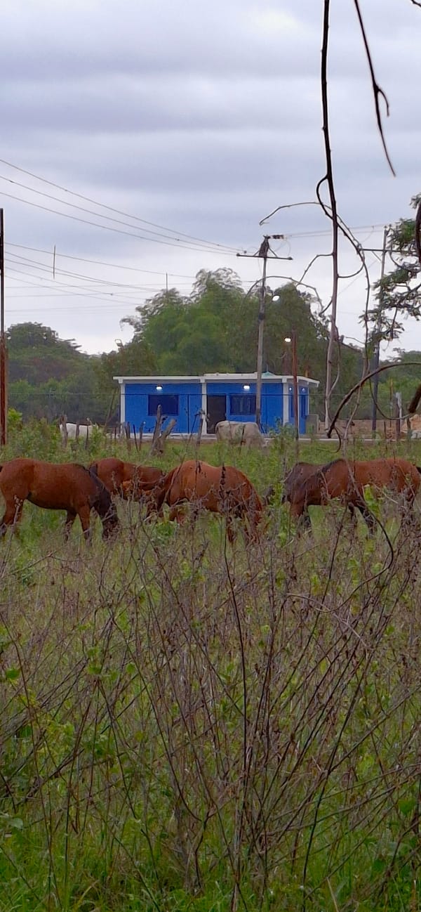 Rural life documented in Venezuelan farming community Vallecito