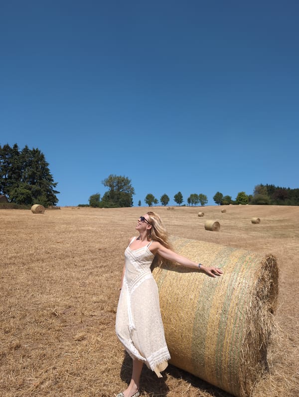 Hay bales, summer fields, and a Highland cow