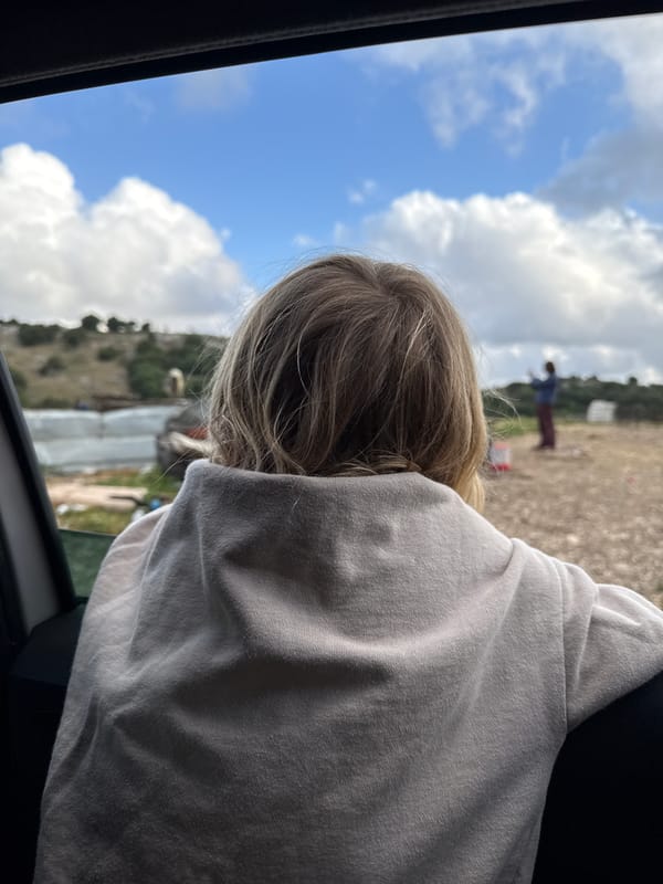 Passenger observes figure in field from car window in Hila