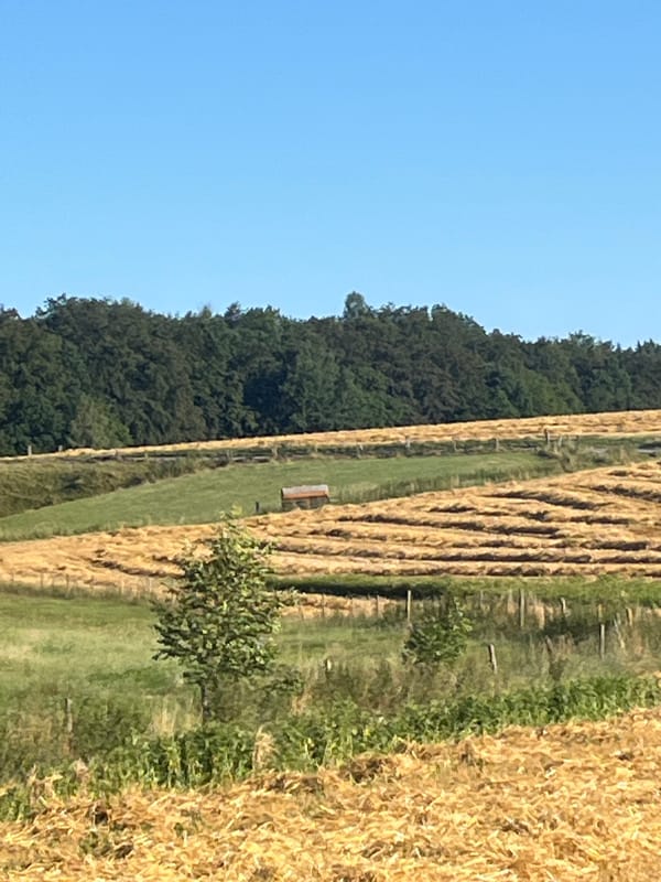 Golden stubble fields after harvest, Wiera, Germany