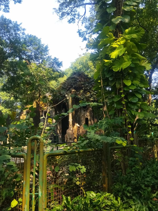 Morning zoo visit documented at Ragunan Zoo, South Jakarta