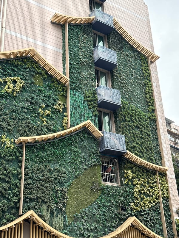 Wedding couple poses for photos on crosswalk in China