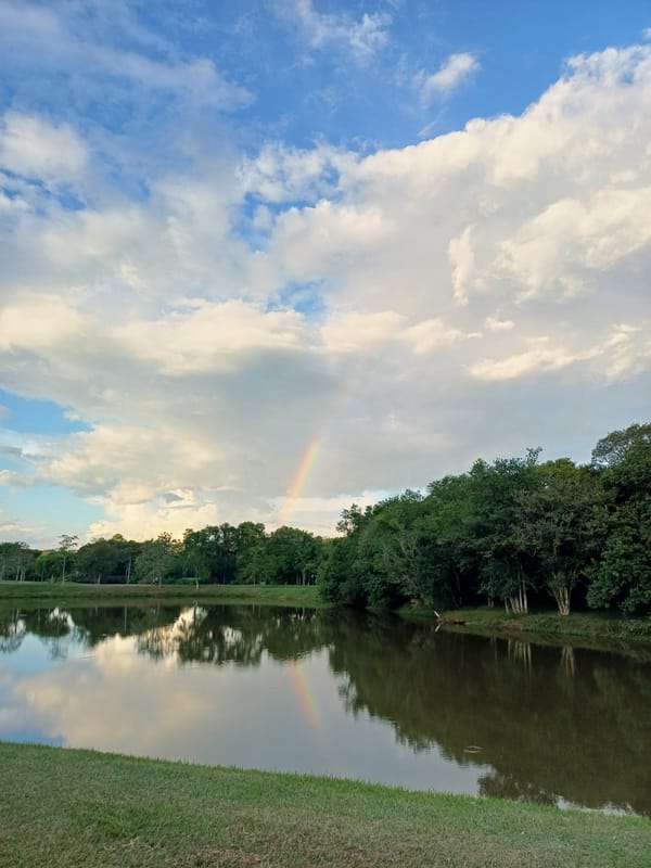 Wildlife watching at Curitiba's Barigui Park captures capybaras and birds