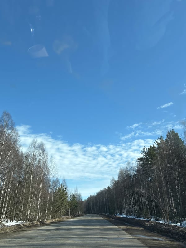 Rural road through forest documented in Markovo, Russia