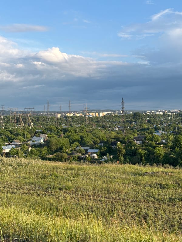 Dog walk documented along Kama River in Chaikovsky, Russia