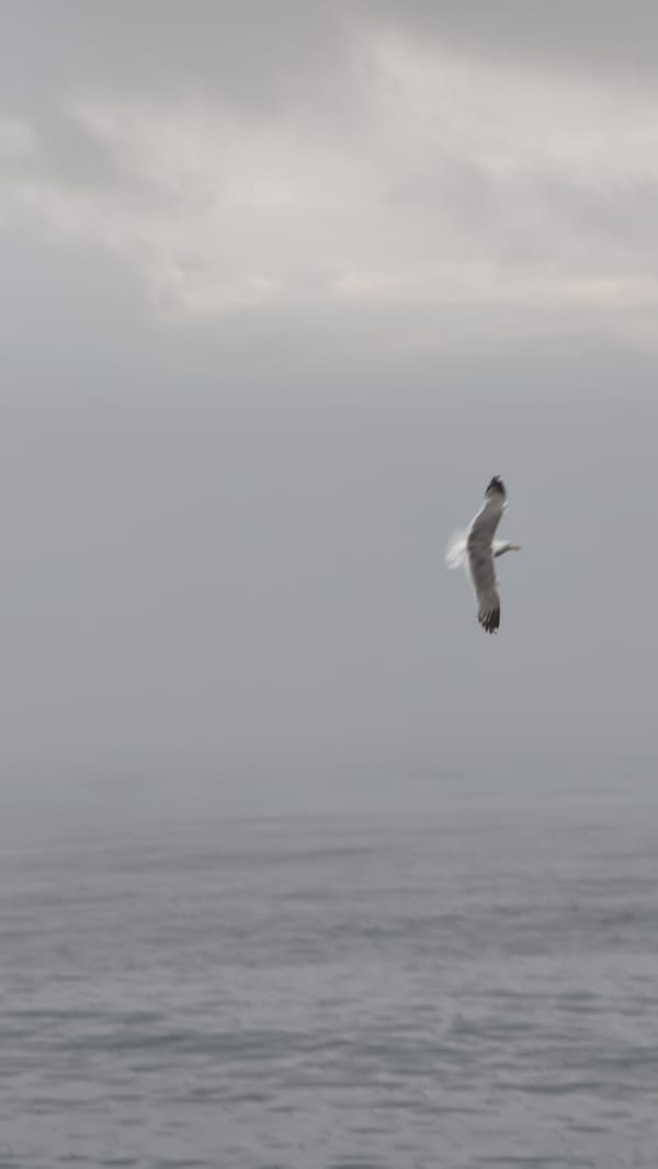 Foggy morning on the Lake Baikal waterfront in Listvyanka