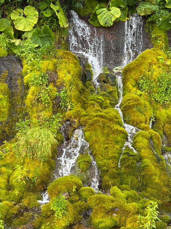 Mossy waterfall and stream along a lush Russian rock face