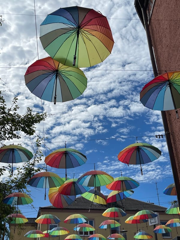 Rainbow umbrella display decorates Zelenogradsk street