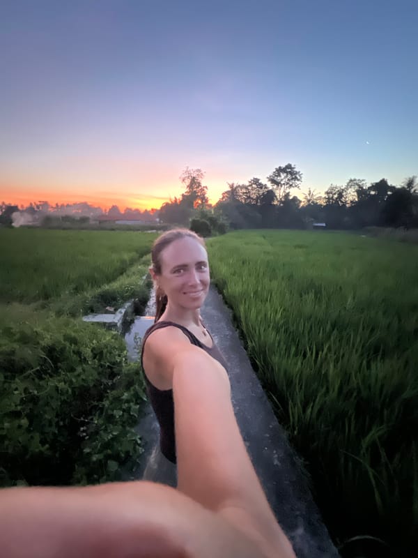 Tourist captures sunrise to sunset rice paddy views in Ubud