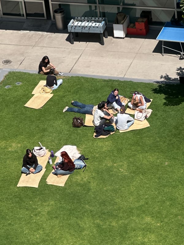 Ordinary afternoon documented across Mexico City urban spaces